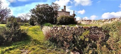 138557lamiaostuniimg130000