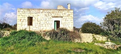 138557lamiaostuniimg100000