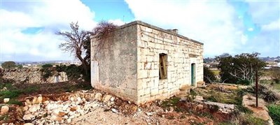 138557lamiaostuniimg120000