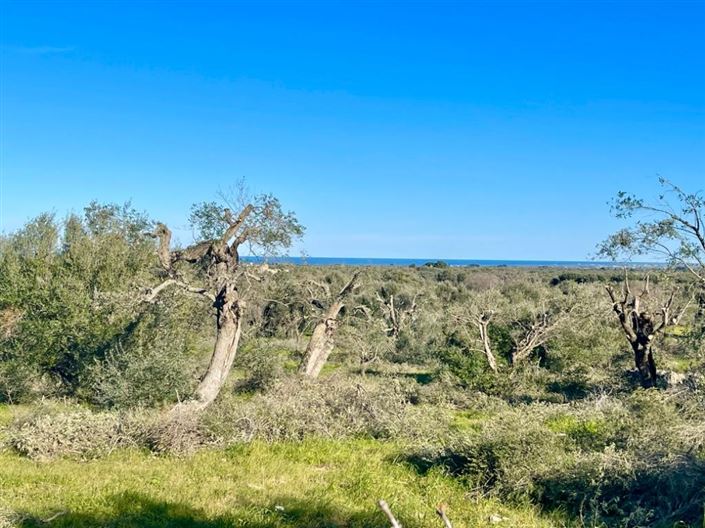 Image No.6-Property for sale