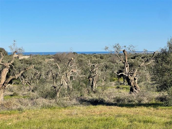 Image No.9-Property for sale