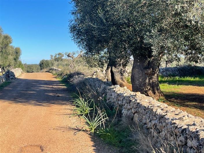 Image No.8-Property for sale