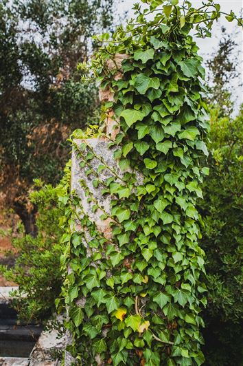 Image No.17-1 Bed Property for sale