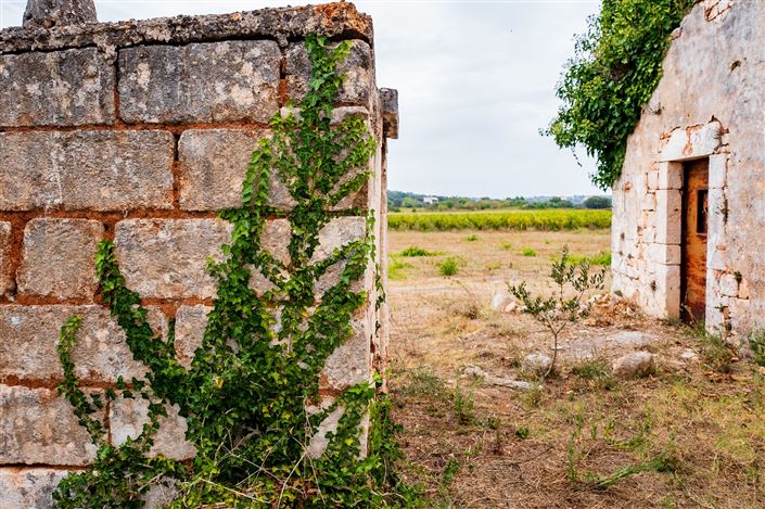 Image No.18-1 Bed Property for sale