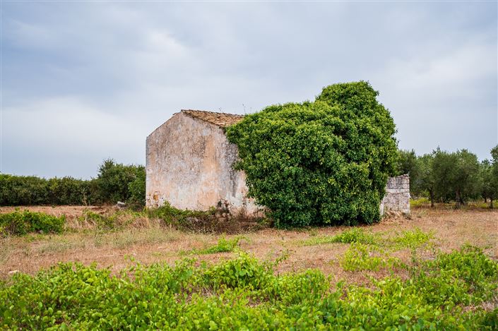 Image No.19-1 Bed Property for sale