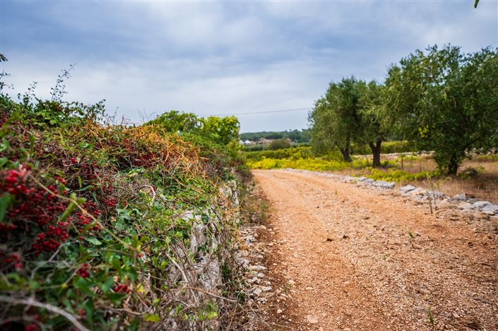 Image No.21-1 Bed Property for sale