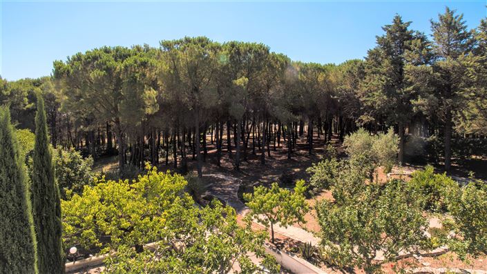 Image No.23-4 Bed Property for sale