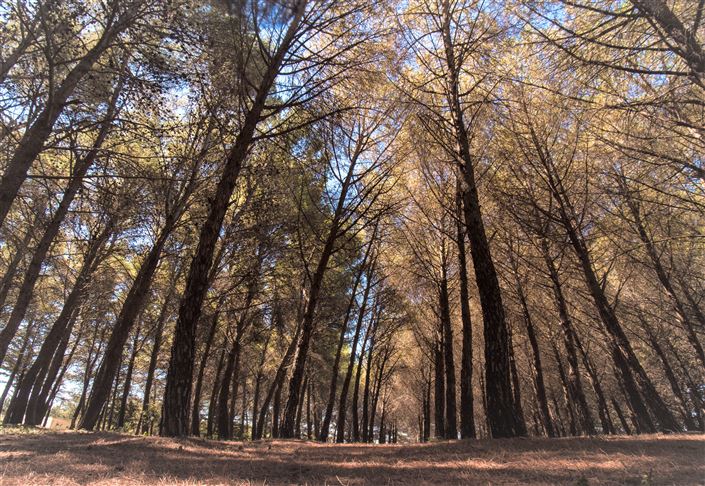 Image No.27-4 Bed Property for sale