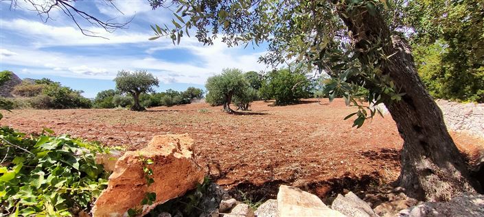 Image No.16-8 Bed Property for sale