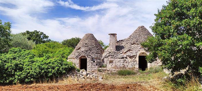 Image No.4-8 Bed Property for sale