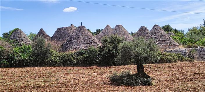 Image No.5-8 Bed Property for sale