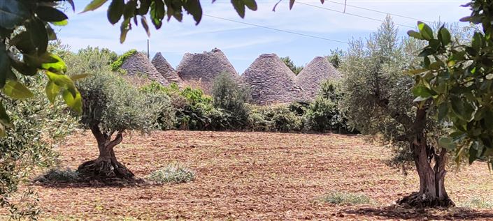 Image No.7-8 Bed Property for sale