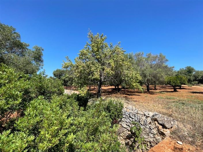 Image No.12-Property for sale