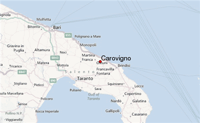 carovigno81