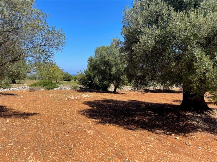 Image No.3-Property for sale