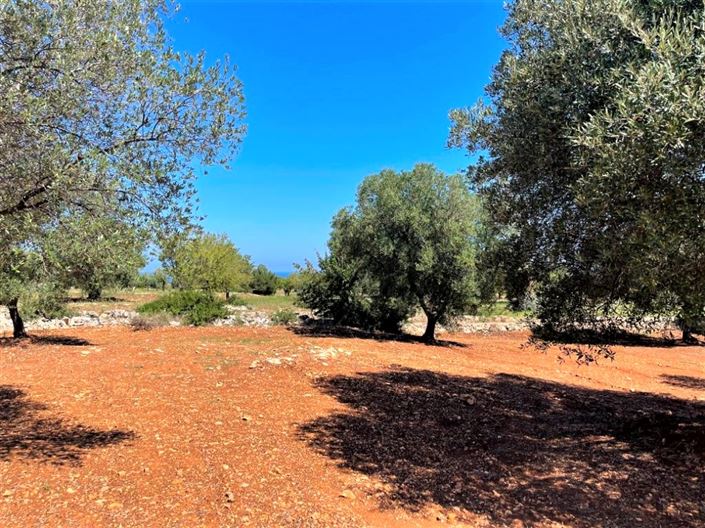 Image No.6-Property for sale