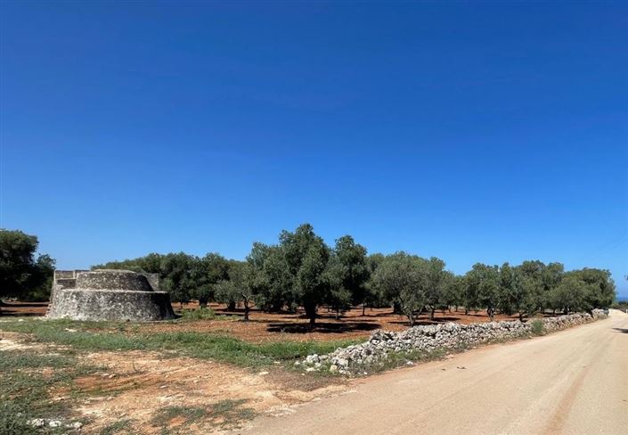 Image No.7-Property for sale