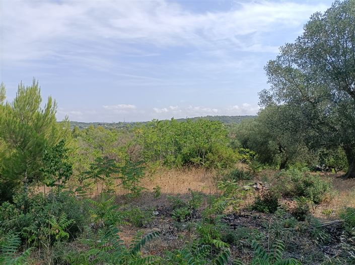 Image No.13-2 Bed Property for sale