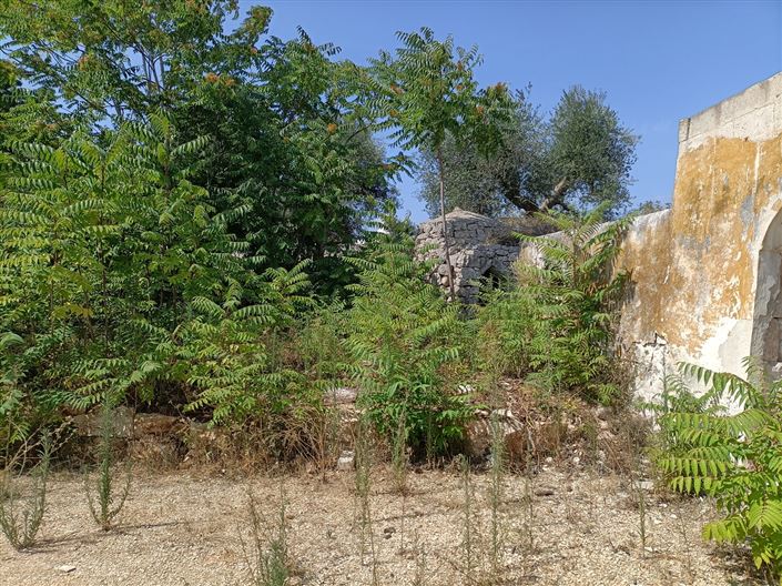 Image No.26-2 Bed Property for sale