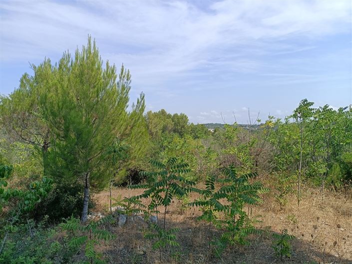 Image No.29-2 Bed Property for sale