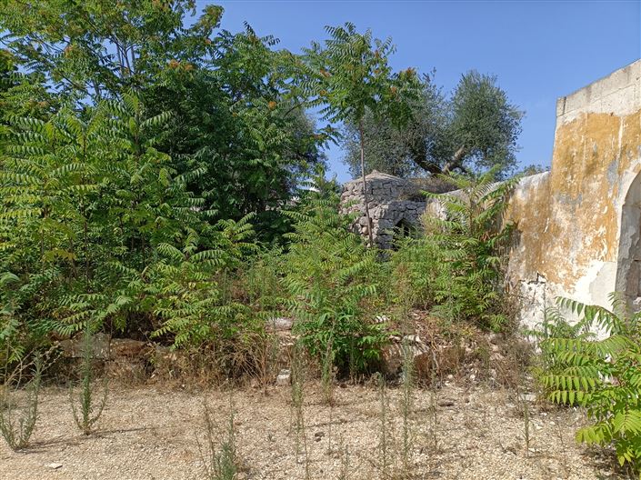 Image No.4-2 Bed Property for sale