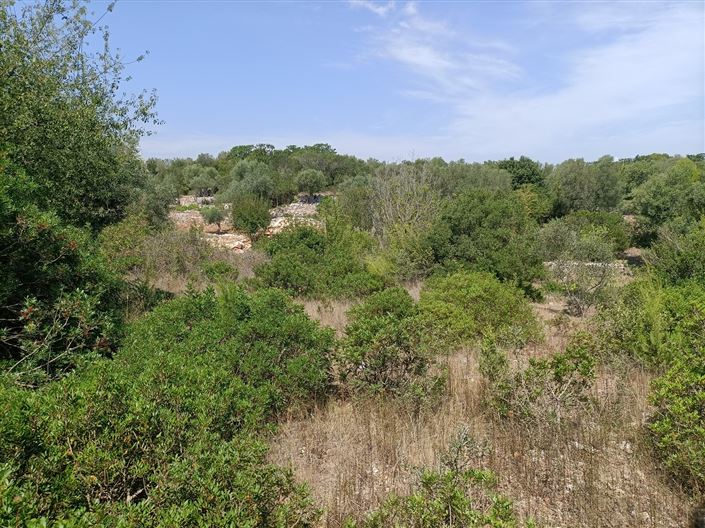 Image No.33-2 Bed Property for sale