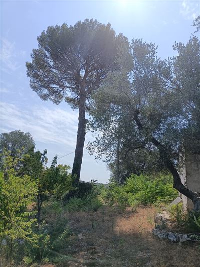 Image No.37-2 Bed Property for sale