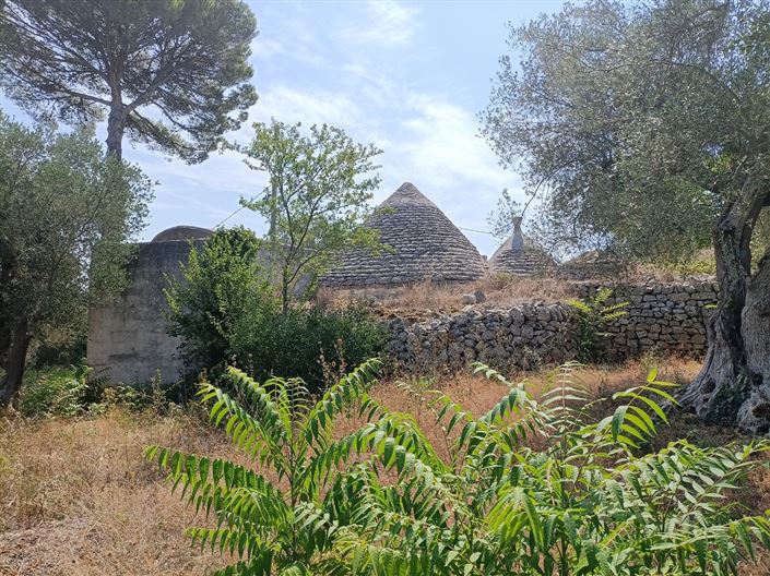 Image No.6-2 Bed Property for sale