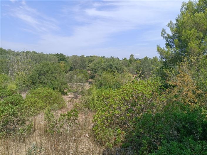 Image No.9-2 Bed Property for sale