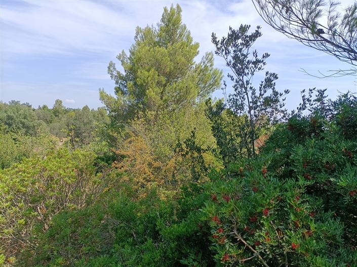 Image No.10-2 Bed Property for sale