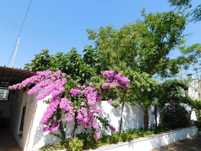 Image No.16-3 Bed Villa for sale