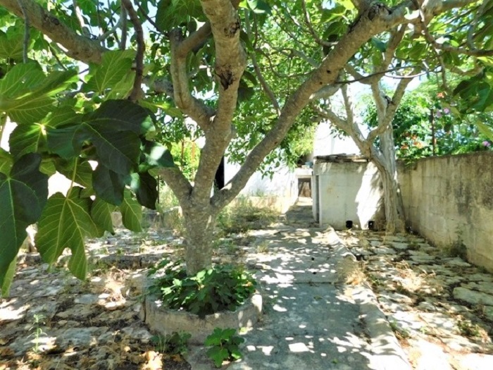 Image No.26-3 Bed Villa for sale