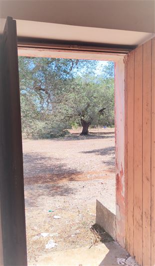 Image No.18-2 Bed Property for sale