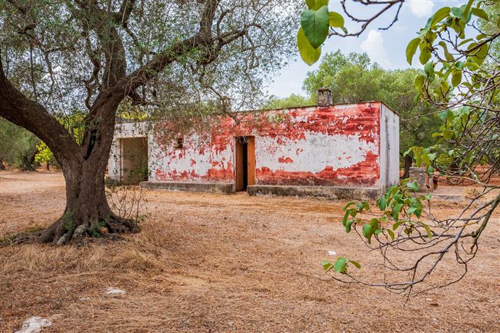 Image No.3-2 Bed Property for sale