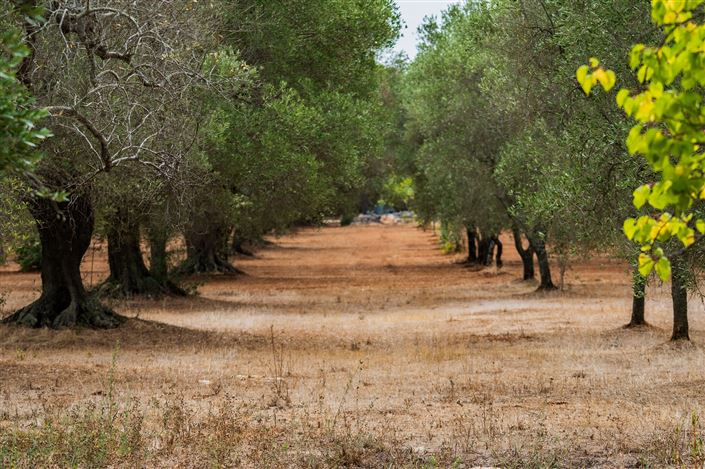 Image No.28-2 Bed Property for sale