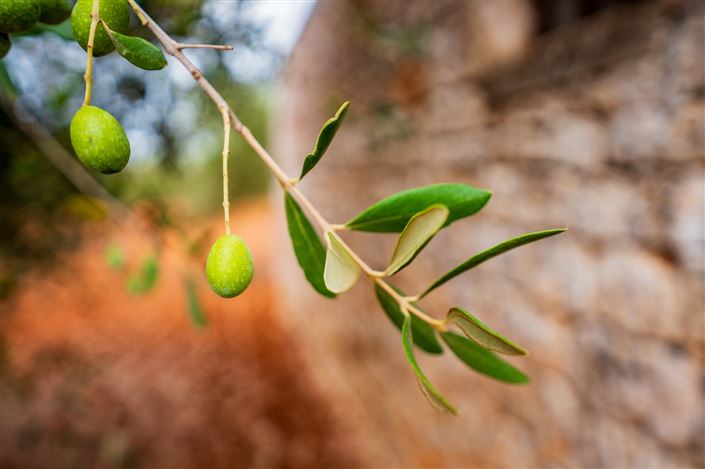 Image No.29-2 Bed Property for sale