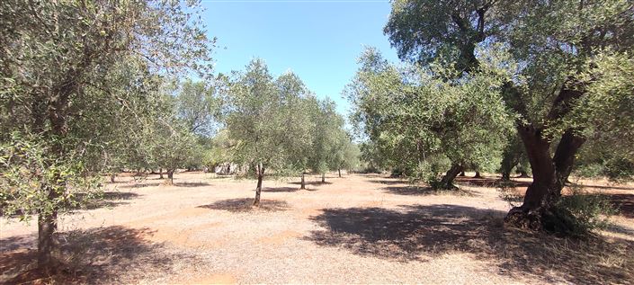 Image No.30-2 Bed Property for sale