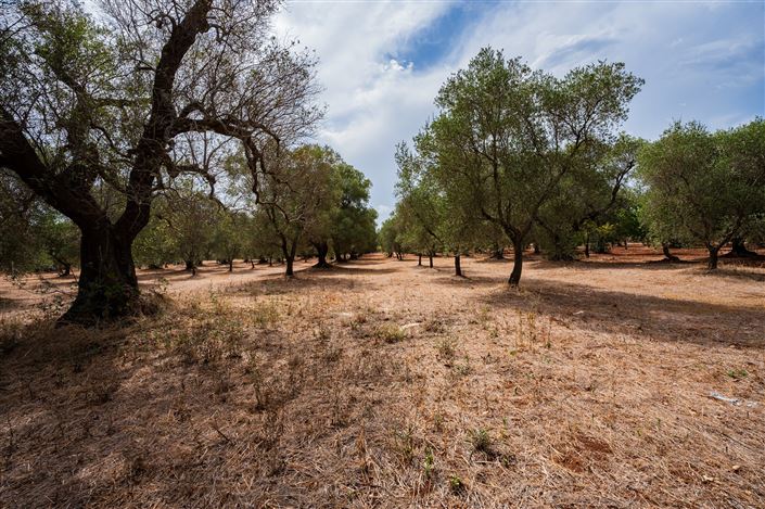 Image No.36-2 Bed Property for sale