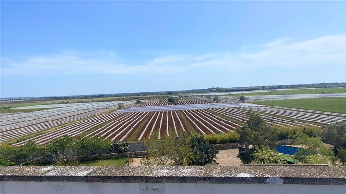 Image No.22-8 Bed Masseria for sale