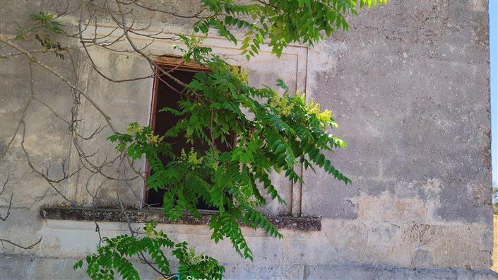 Image No.24-6 Bed Masseria for sale