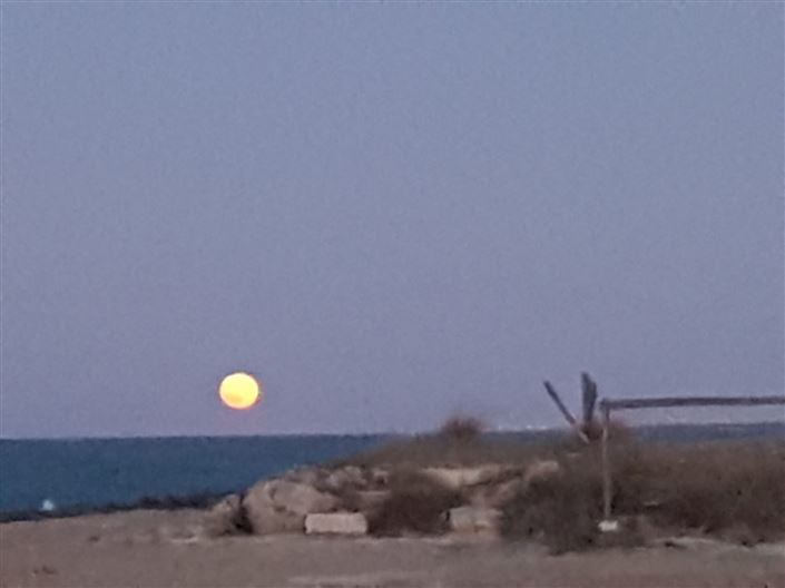 Image No.32-6 Bed Villa for sale