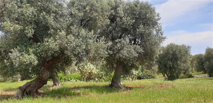 Image No.18-2 Bed Property for sale