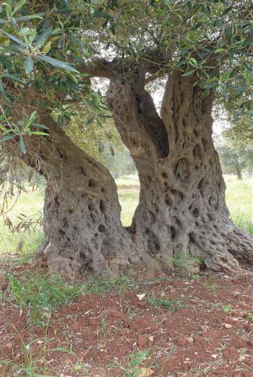 Image No.21-2 Bed Property for sale