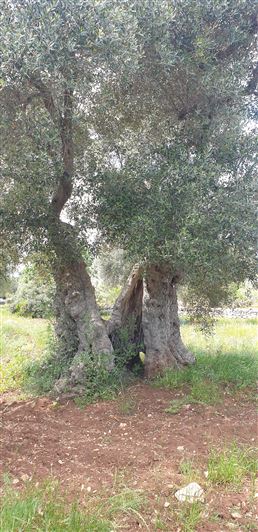 Image No.22-2 Bed Property for sale