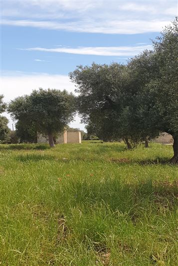 Image No.25-2 Bed Property for sale