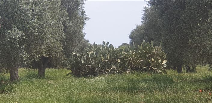 Image No.29-2 Bed Property for sale