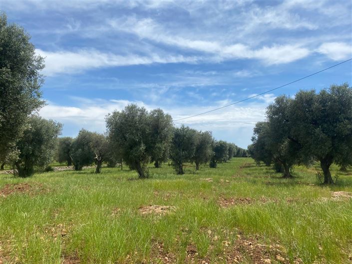 Image No.32-2 Bed Property for sale