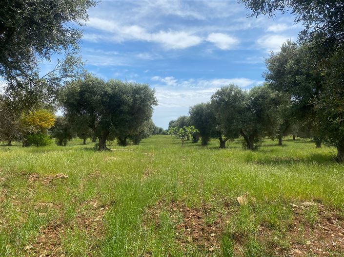 Image No.36-2 Bed Property for sale