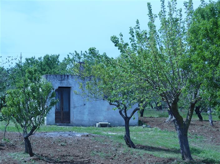 Image No.11-1 Bed Property for sale