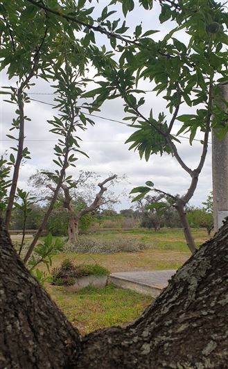 Image No.14-1 Bed Property for sale